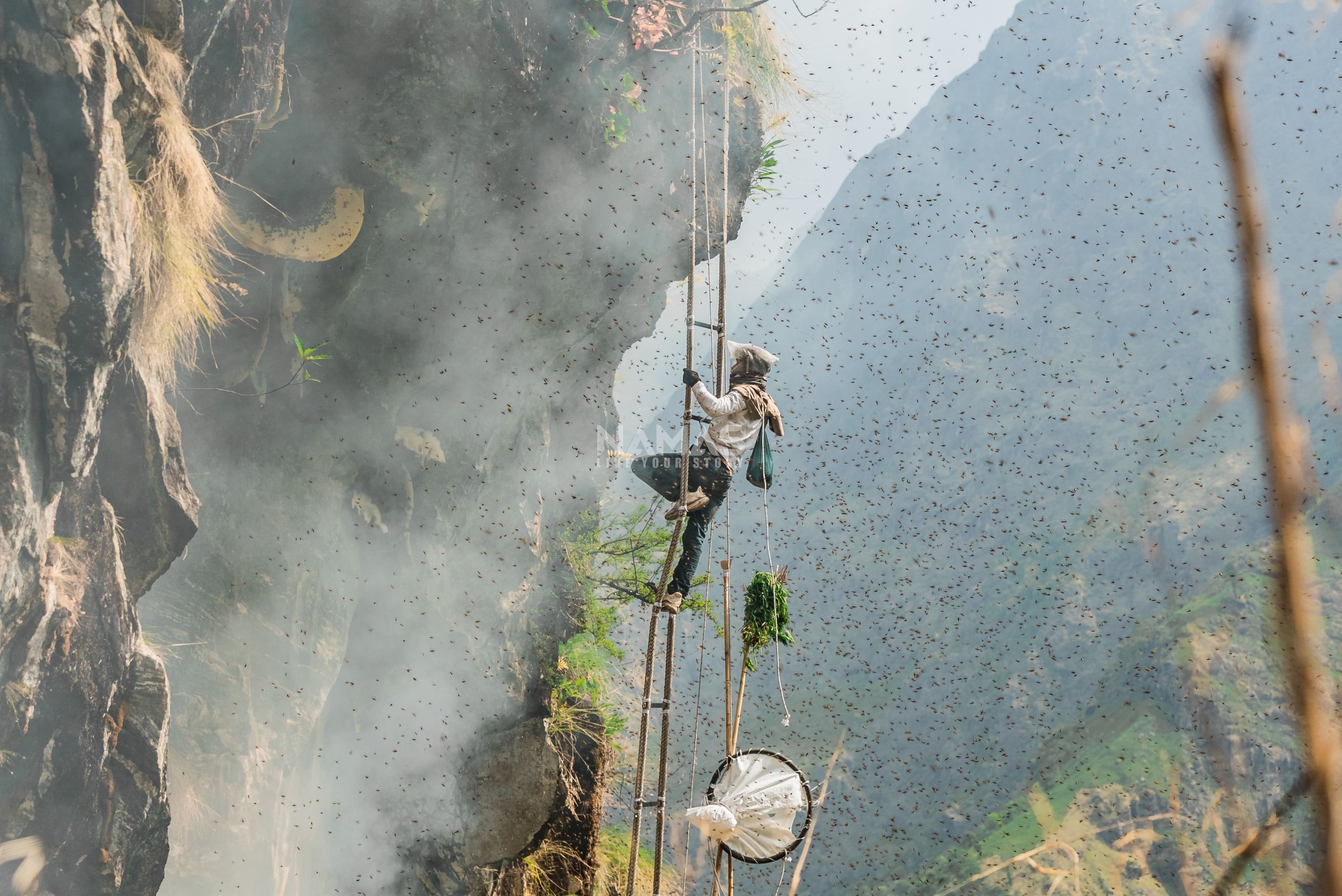 Honey Hunting Nepal | Mad Honey Hunting in Himalayas